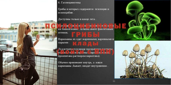 эйфоретик Волоколамск