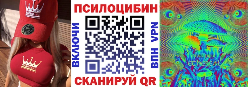 Псилоцибиновые грибы мицелий Малаховка